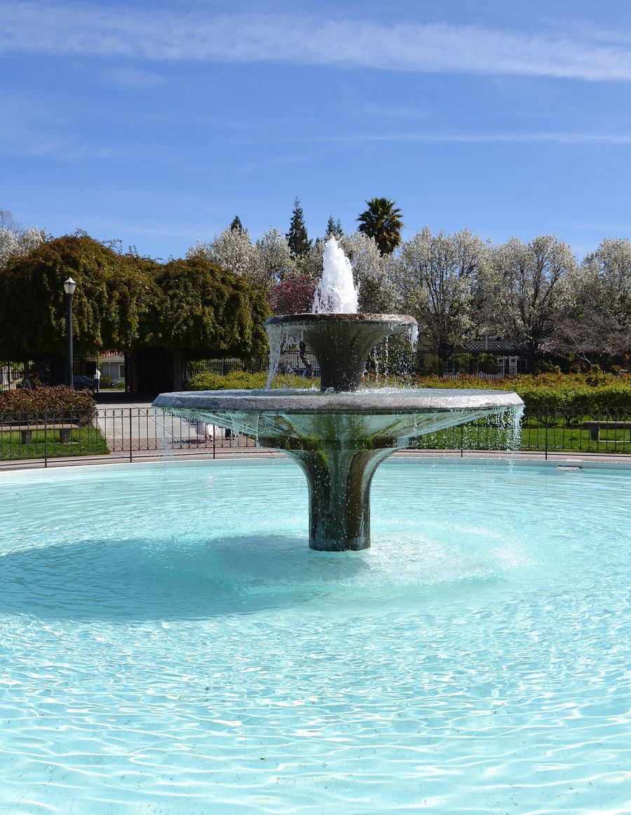 Municipal Rose Garden