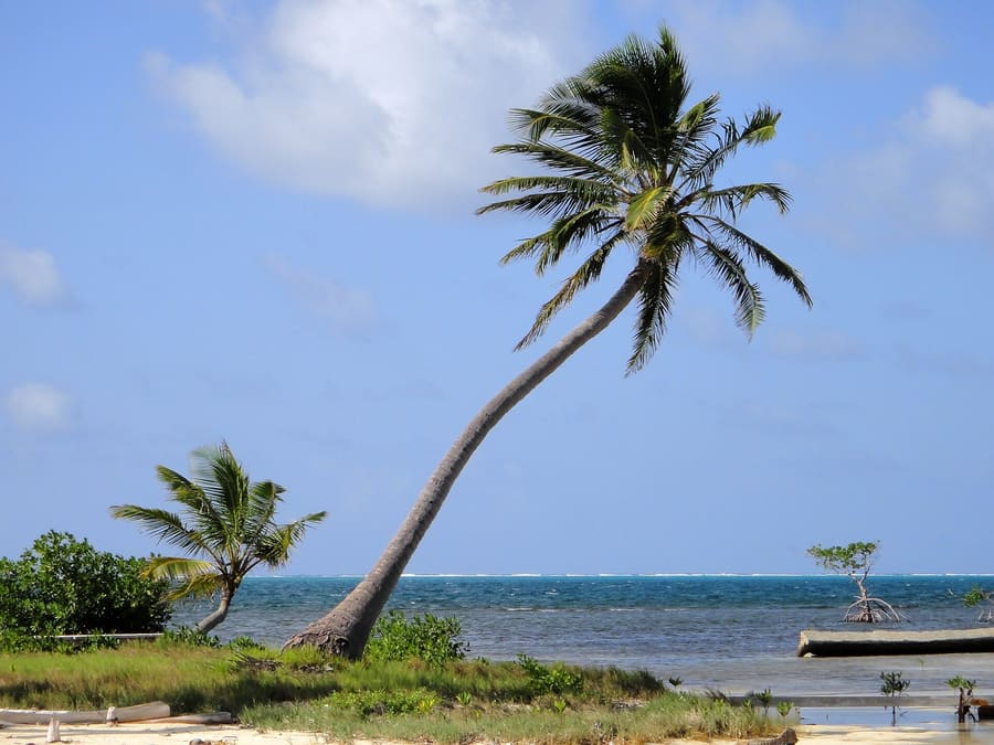 San Pedro