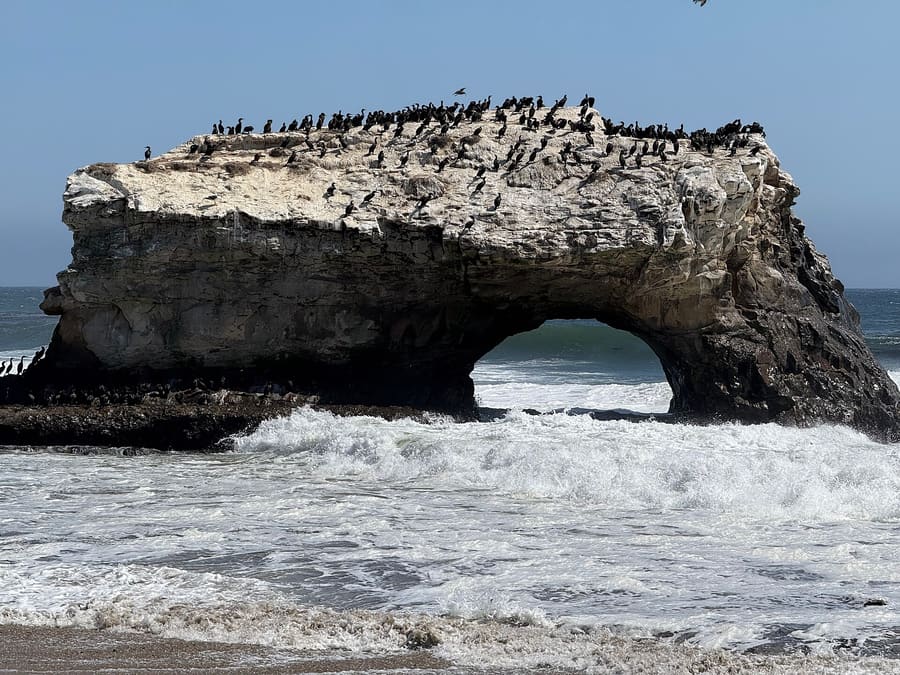 Natural Bridges State Beach
