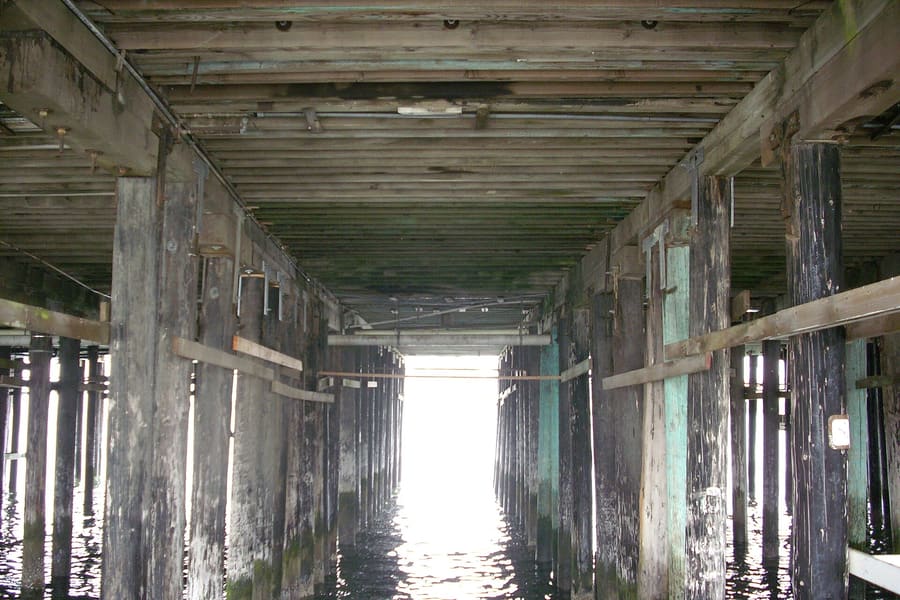 Santa Cruz