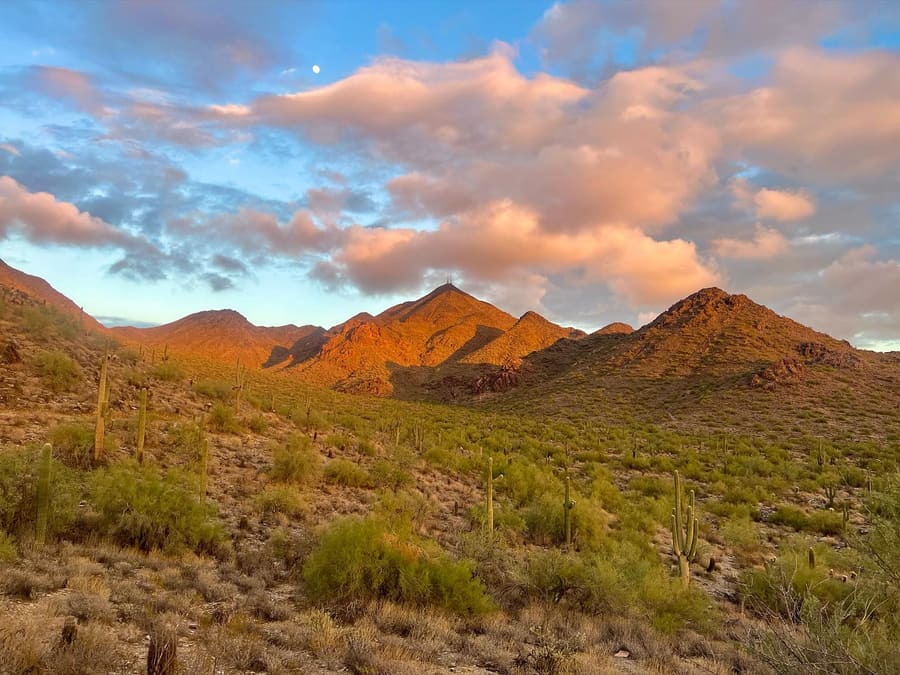 McDowell Sonoran Preserve