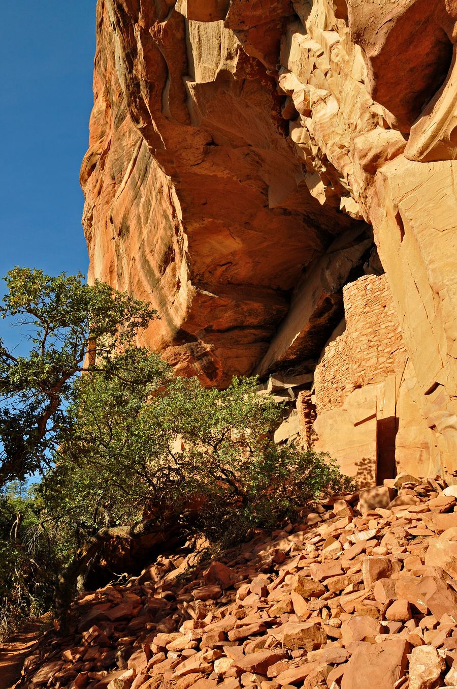Boynton Canyon