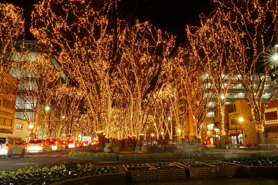 Jozenji-dori Avenue