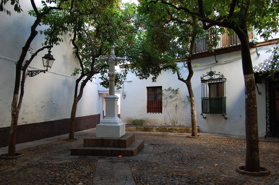 Santa Cruz