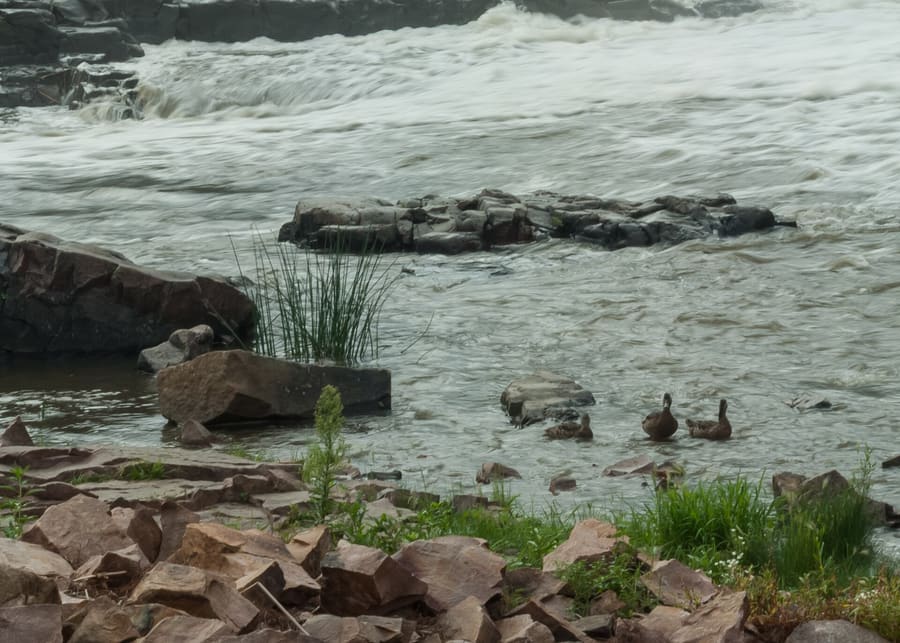 Falls Park
