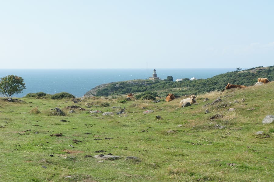 Kullaberg Nature Reserve