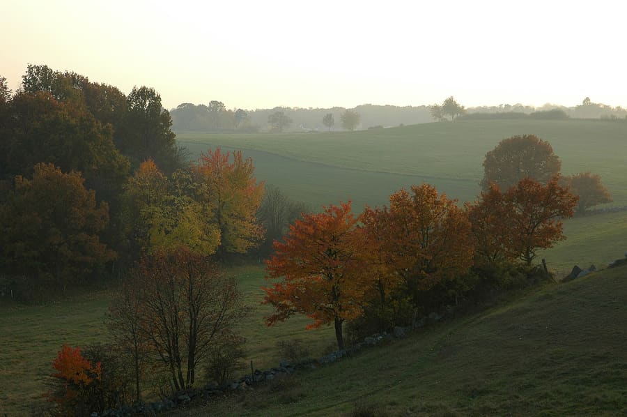 Österlen