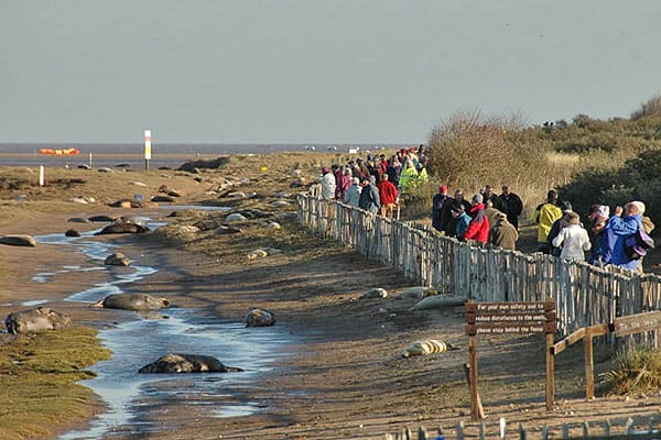 Gibraltar Point Reserve