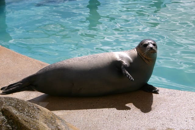 Natureland Seal Sanctuary