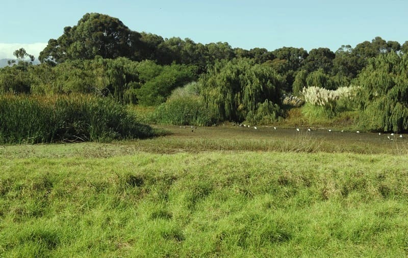Helderberg Nature Reserve
