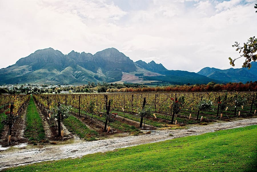 Morgenster Estate