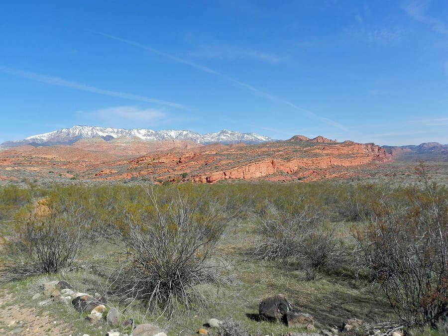 St. George