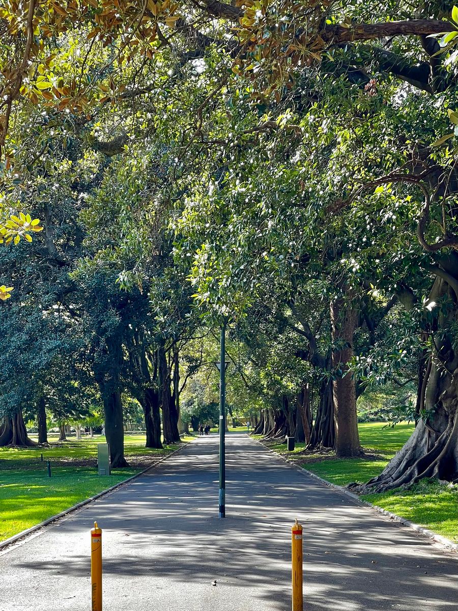 Royal Botanic Garden