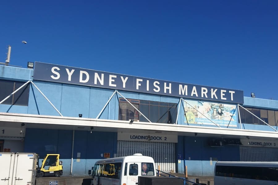 Sydney Fish Market supplies daily catches of rock oysters and kingfish to harbour restaurants.