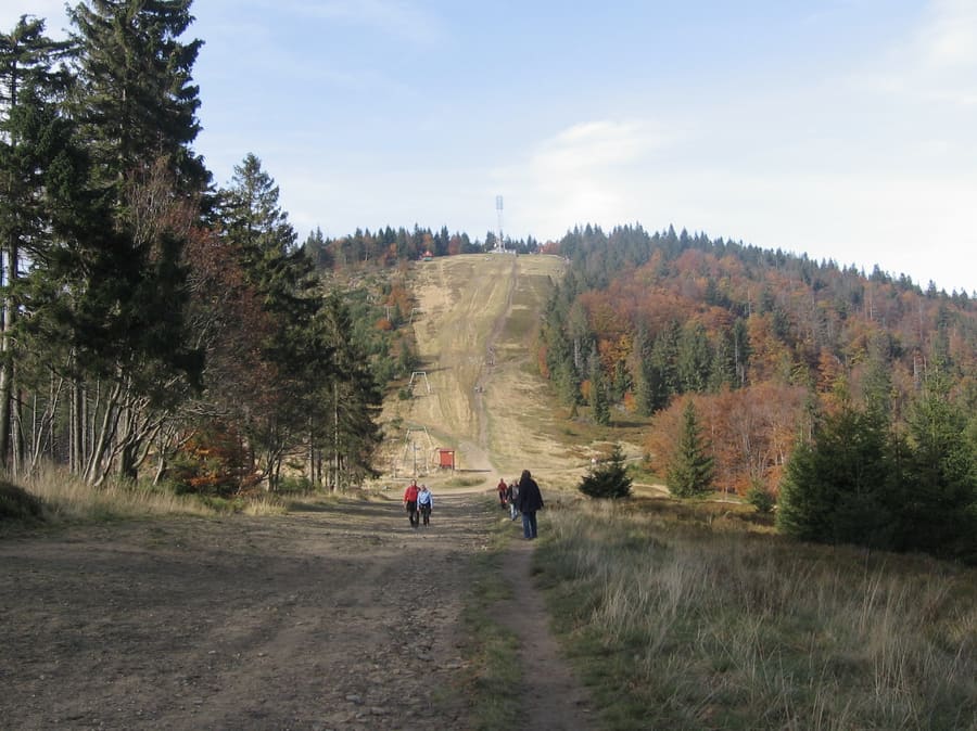 Biła