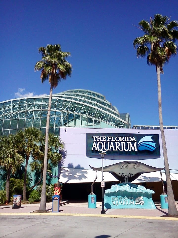 The Florida Aquarium