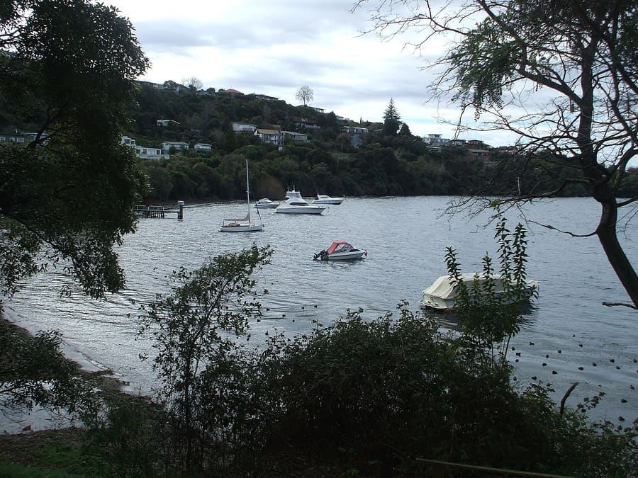 Acacia Bay