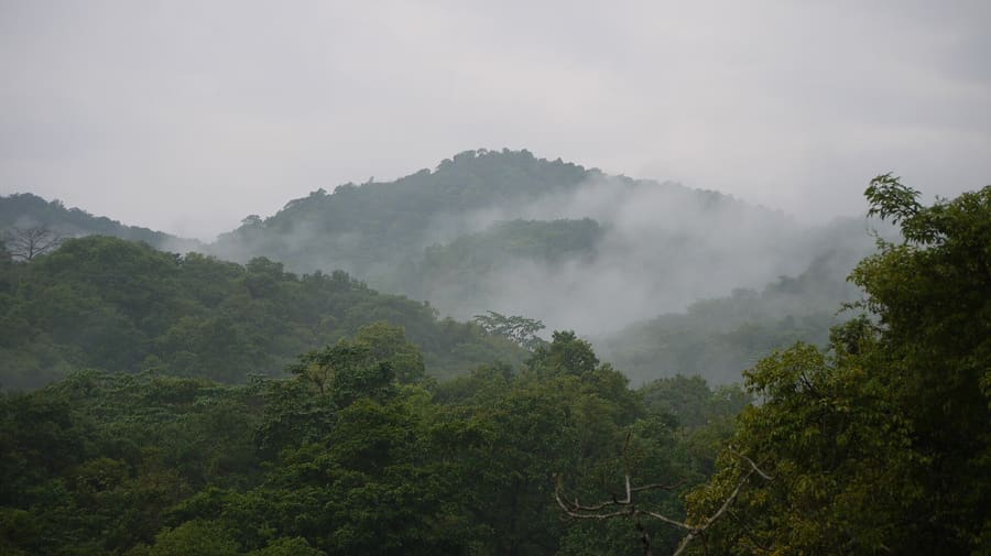 Yeoor Hills