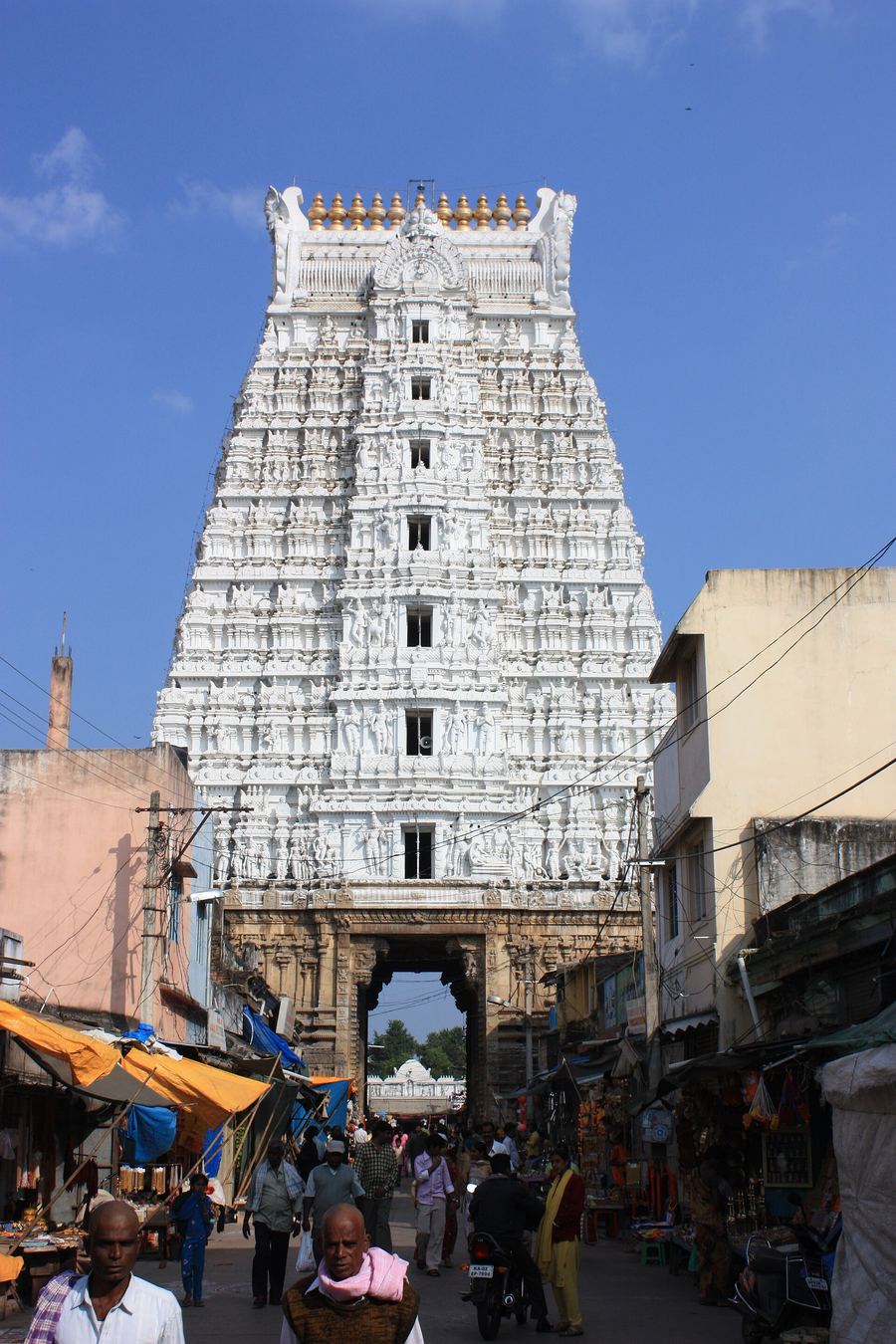 Sri Govindaraja Swamy Temple