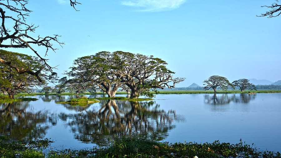 Tissa Wewa