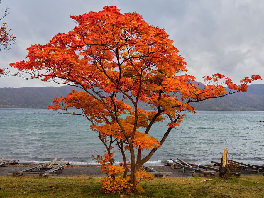 Lake Towada