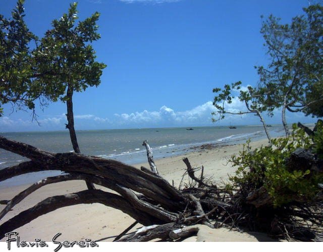 Praia dos Nativos & Coqueiros