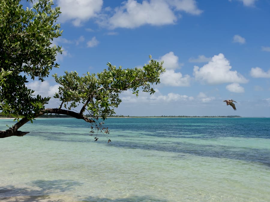 Sian Ka'an Biosphere Reserve