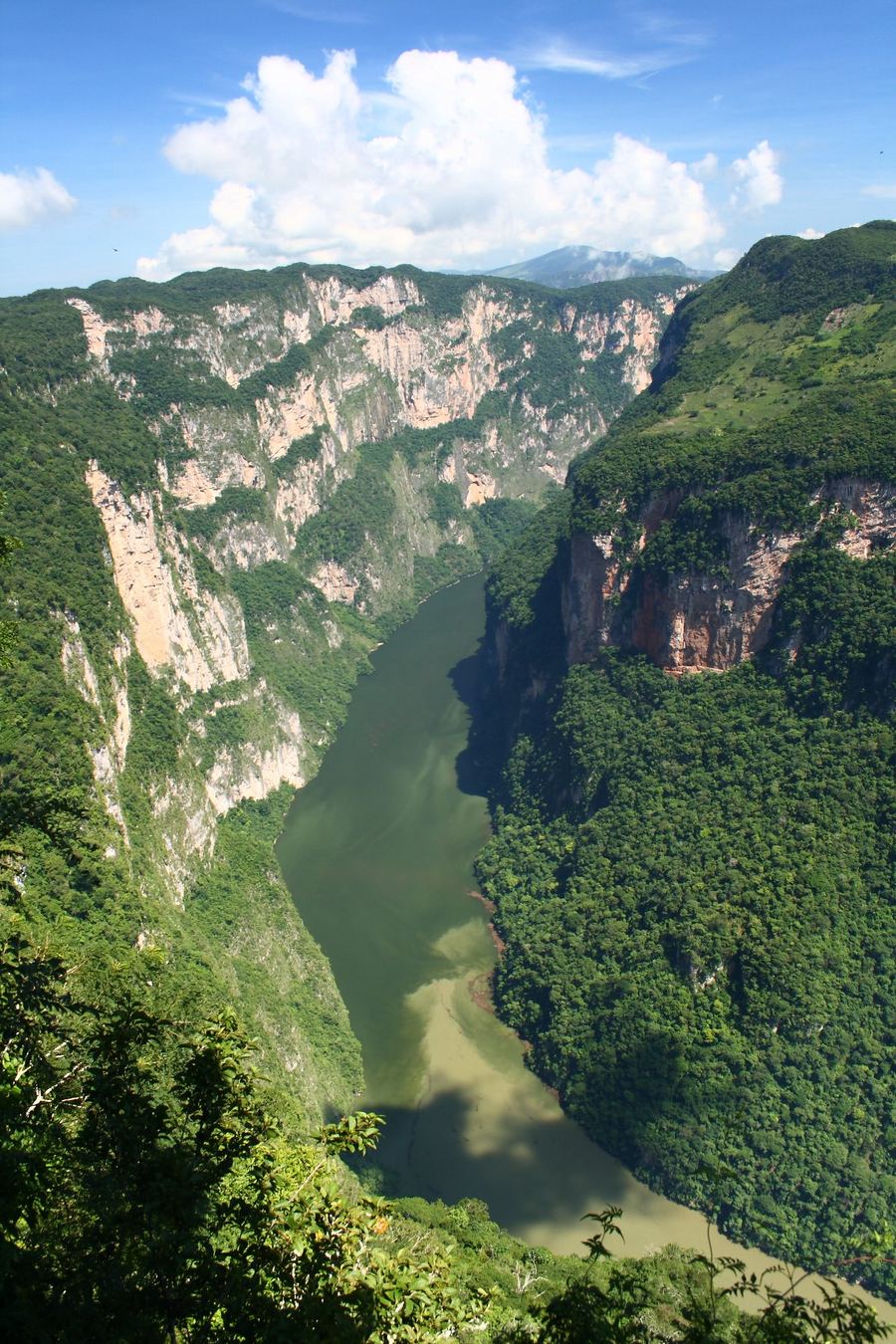 Miradores del Cañón