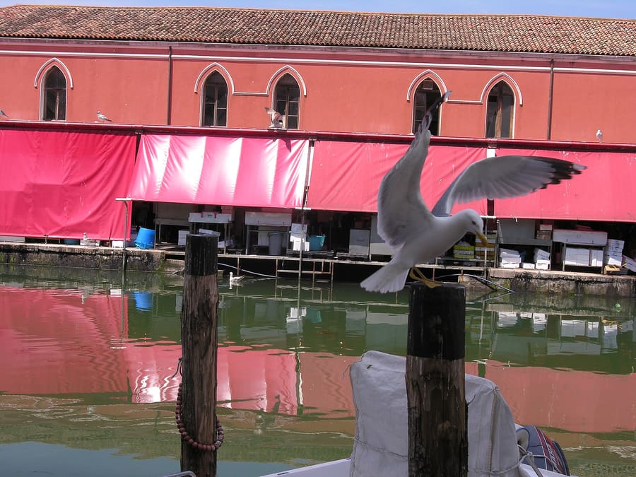 Rialto Market