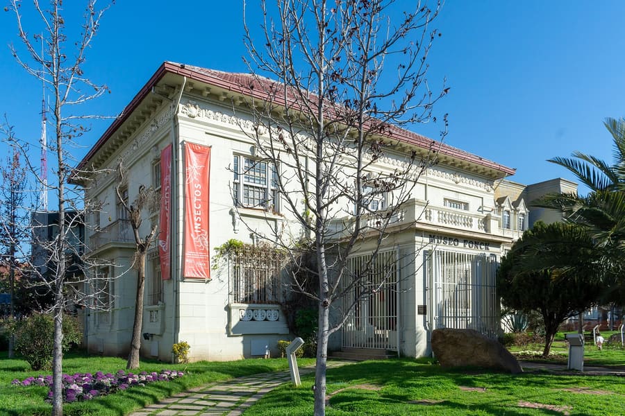 Museo Fonck