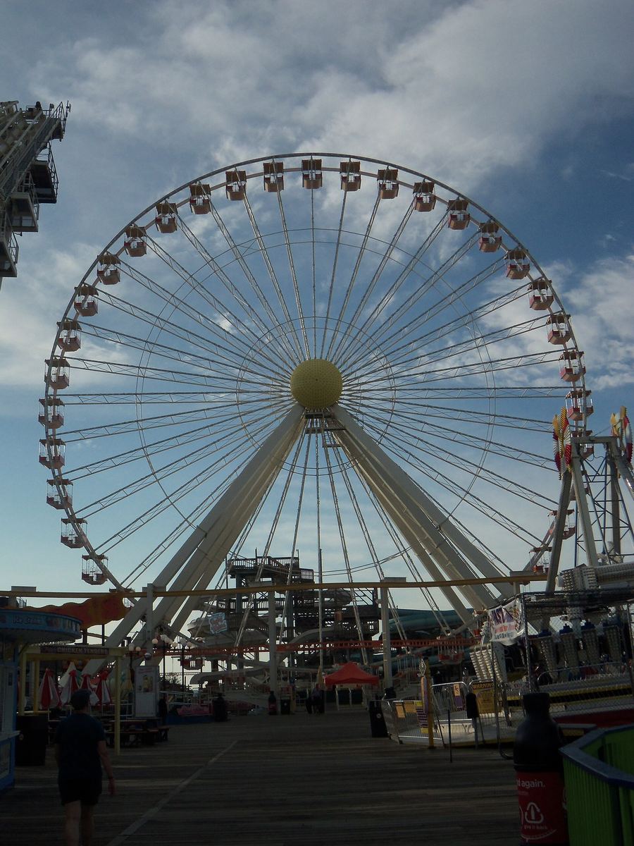 Wildwood