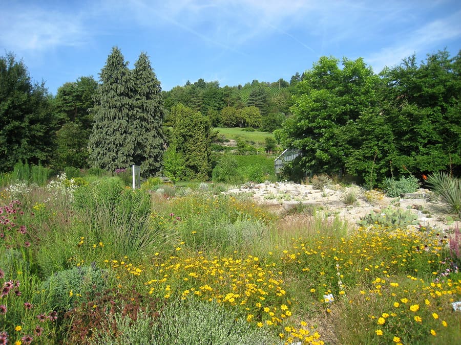 Frauenland
