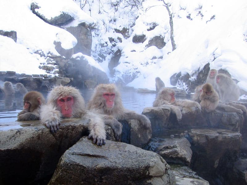 Kanbayashi Onsen