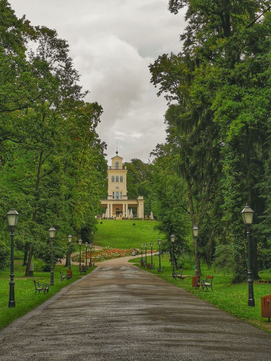 Maksimir