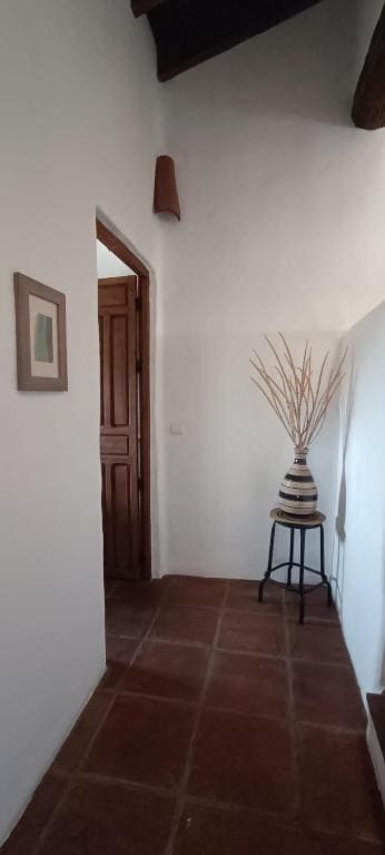 Cortijo J&S Juan Salvador