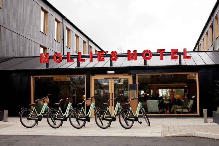 Mollie's Bristol