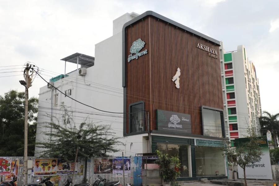 Hotel Green parrot