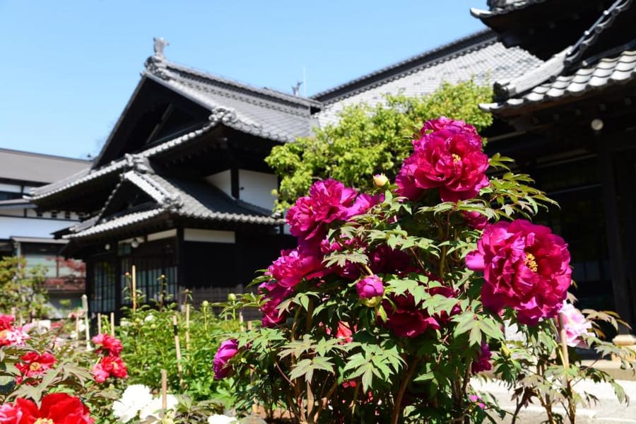 Hotel Nord Otaru