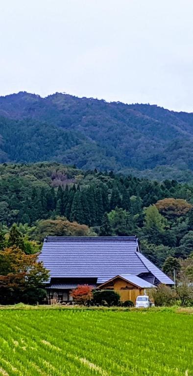 さいの郷「椛」