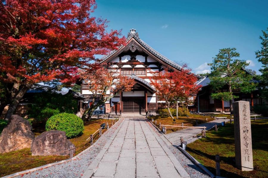 Sowaka