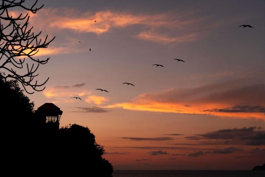 Banyan Tree Cabo Marques