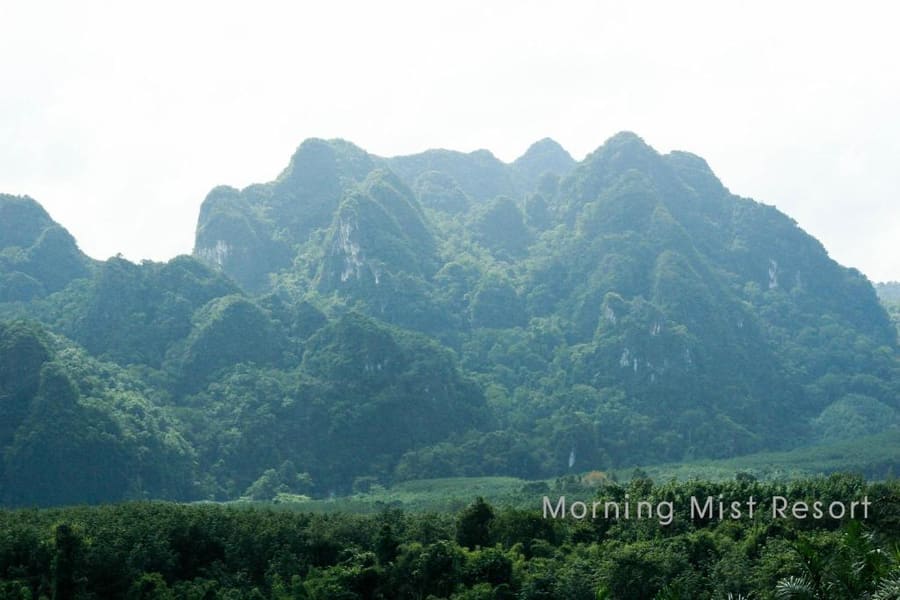 Khao Sok Morning Mist Resort