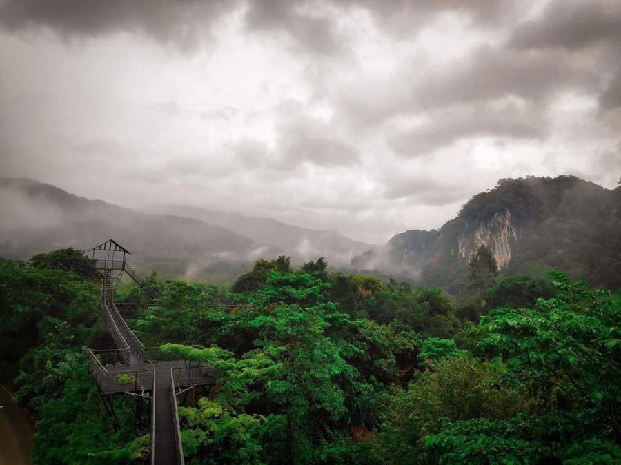 Khao Sok Tree House Resort