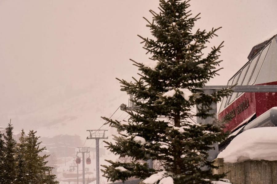 Waldorf Astoria Park City