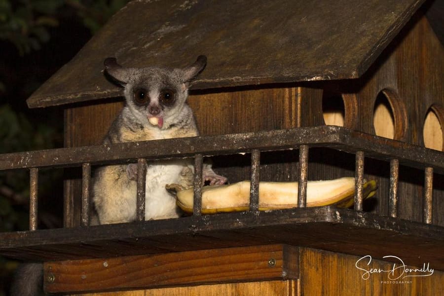 Ubuntu Bed and Breakfast